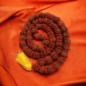 Rudraksh mala big beads