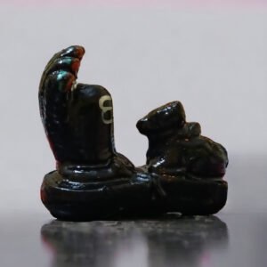 Jodi 5